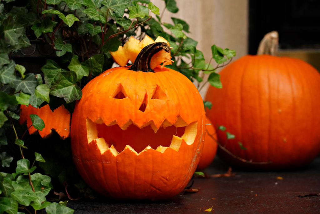 (Photo by Cindy Ord/Getty Images)...