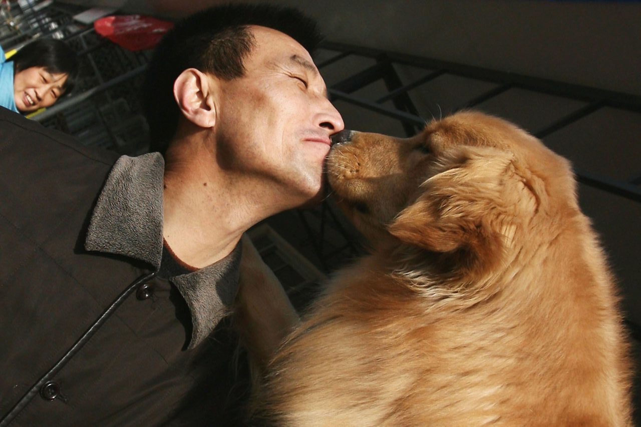(Photo by China Photos/Getty Images)...