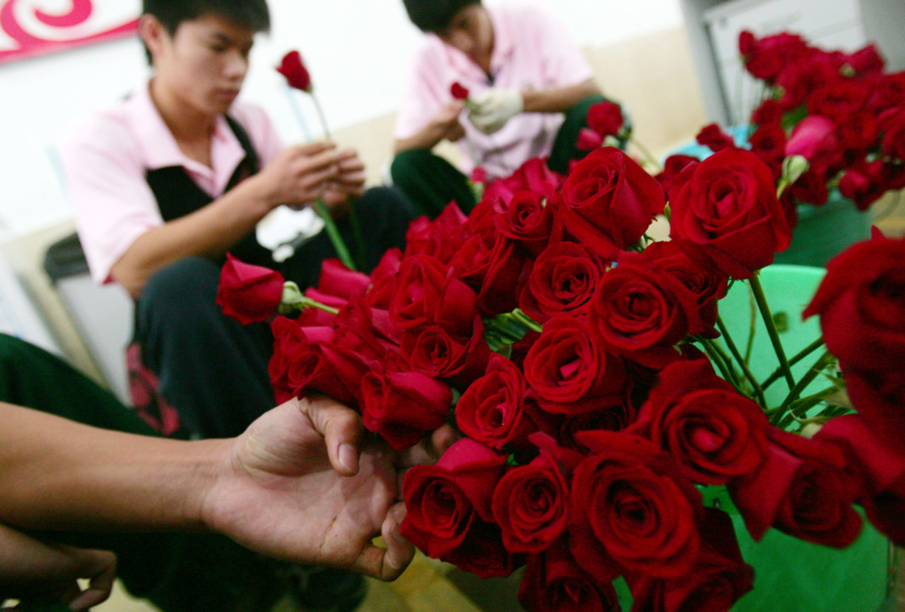 (Photo by China Photos/Getty Images)...