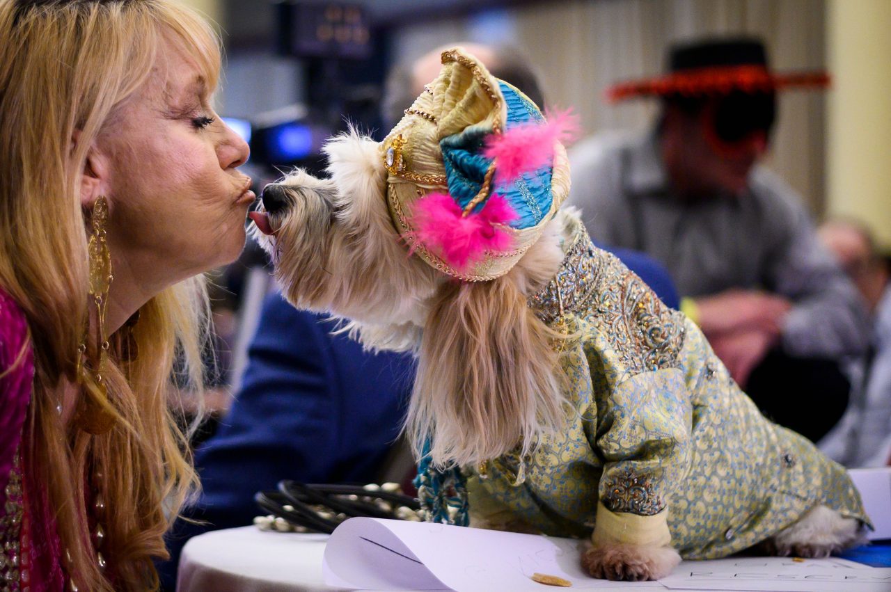 An owner kisses her dog, dressed up for a show, during the 16th annual New York Pet Fashion Show on...