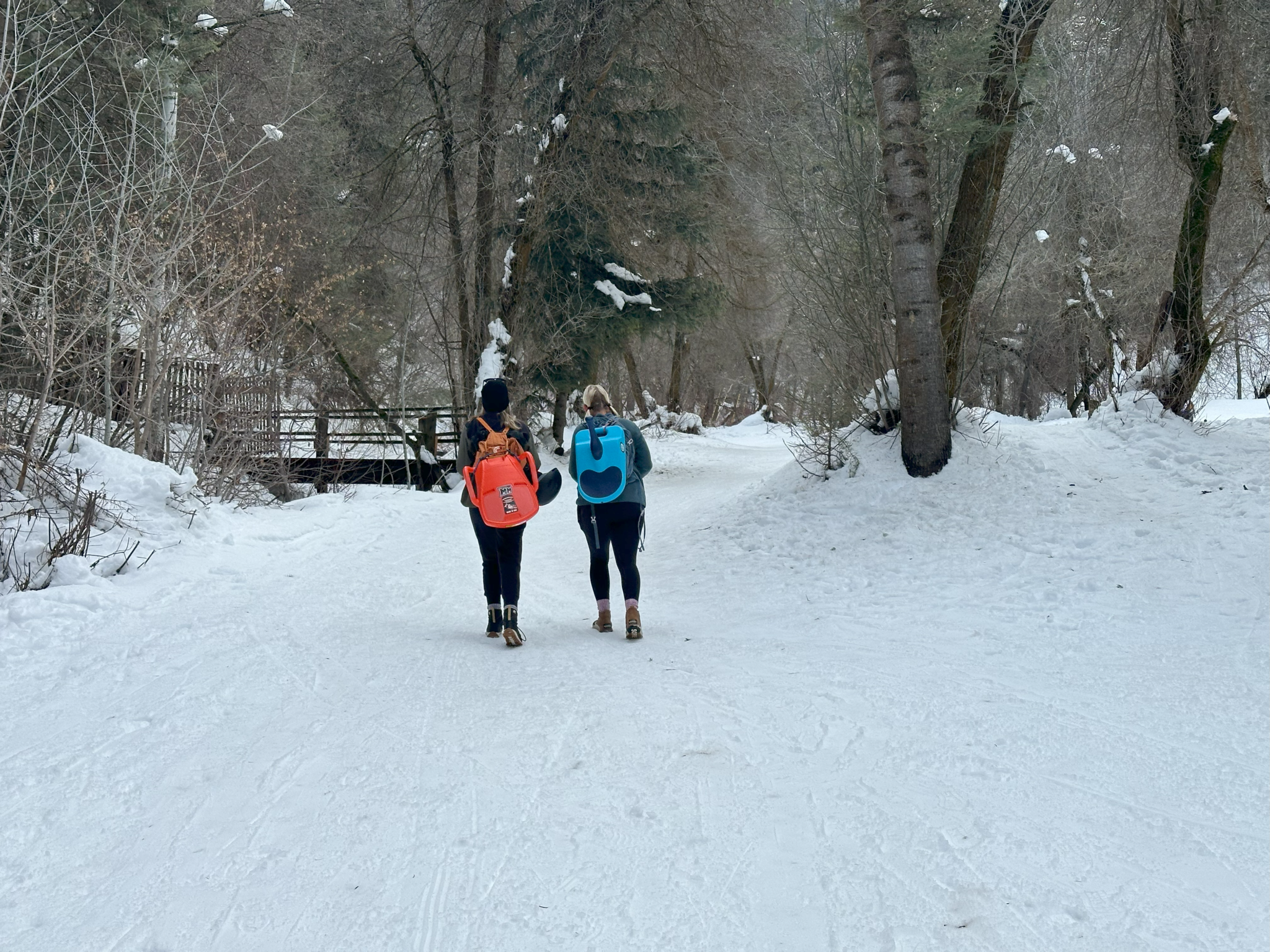 Trail Sledding: Here's how it works and 3 of the best sleds for the job